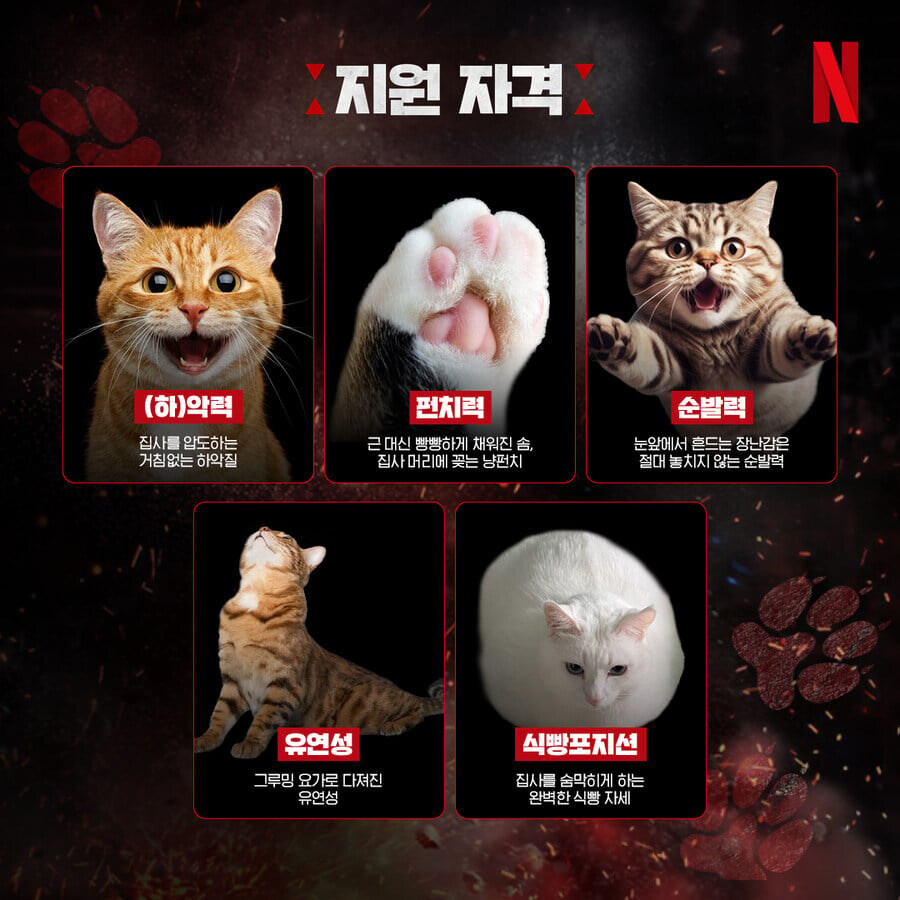 넷플릭스 만우절 신작.jpg_2.jpg