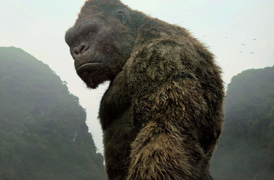 고질라 X 콩)그거 아십니까?_1.jpg