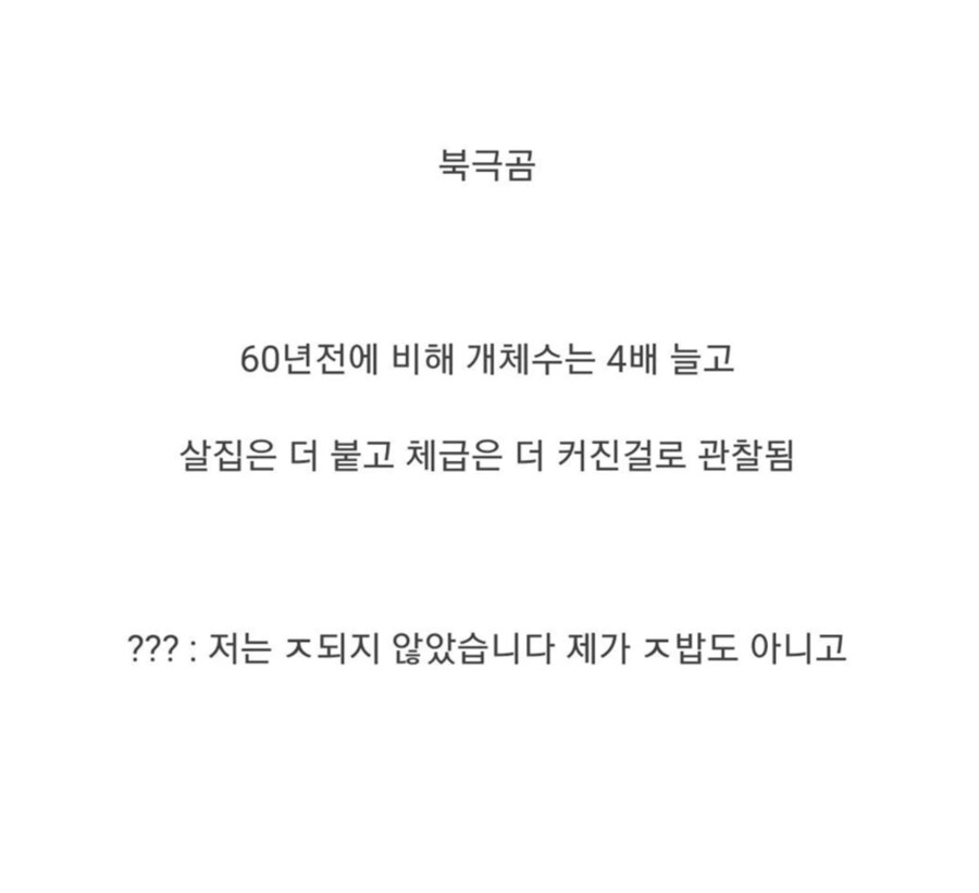 북극곰 근황.jpg_2.png