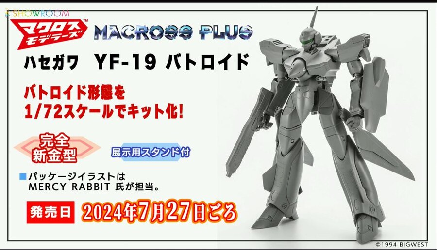 [하세가와] 마크로스 플러스 1/72 YF-19 설정화와 비교 이미지 외_1.jpg