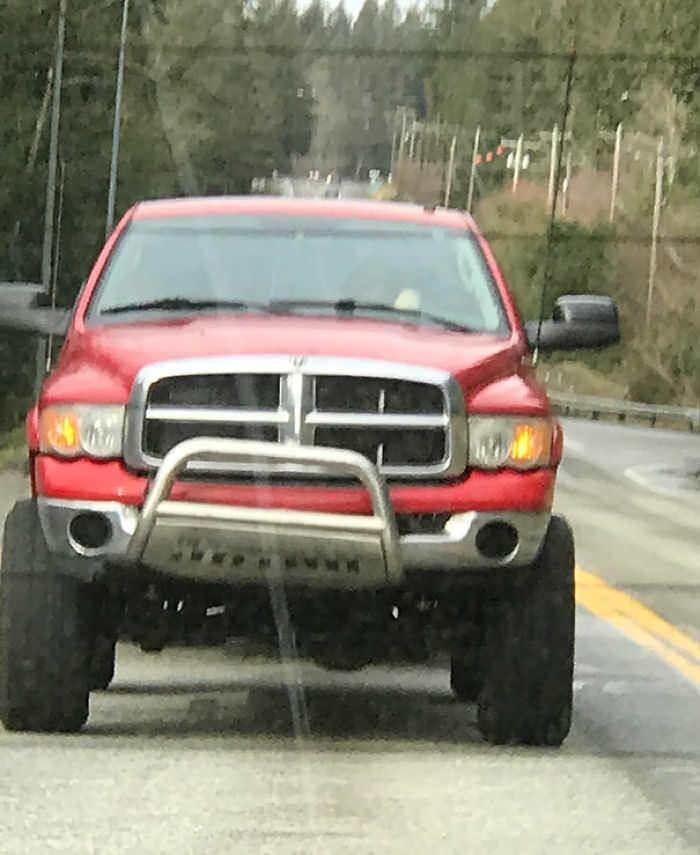 불편한 사진들 모음.jpg_9.jpg