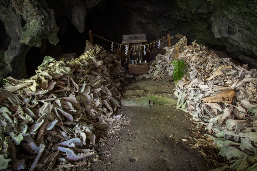 일본 시골의 버려진 한 신사의 모습. jpg_10.jpg