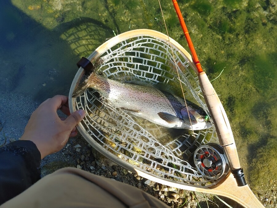 플라이 낚시_3.jpg