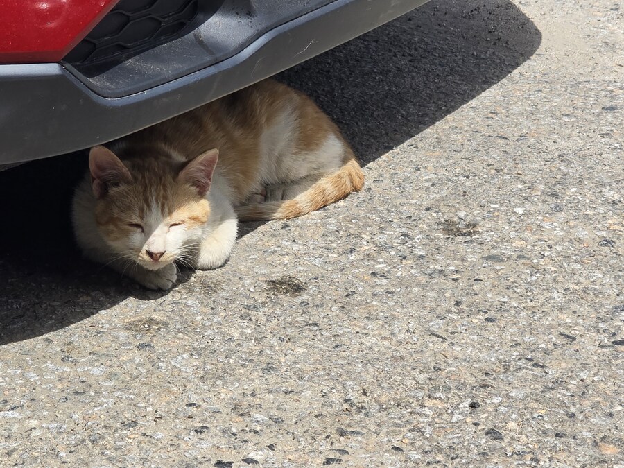 [스압] 국토대장정 1주차_42.jpg