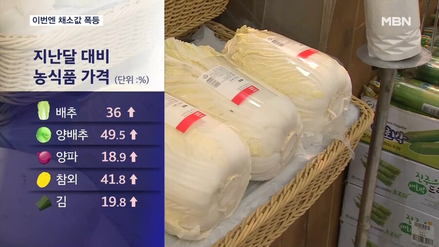 '양배추·양파' 이번엔 채소값 폭등…토스트·중국집 사장 울상_1.png