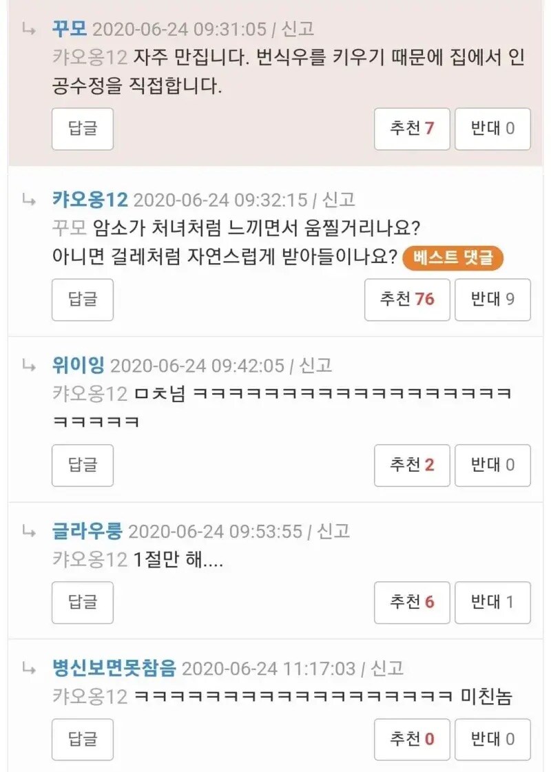 소 키운다 질문 받는다_4.jpg