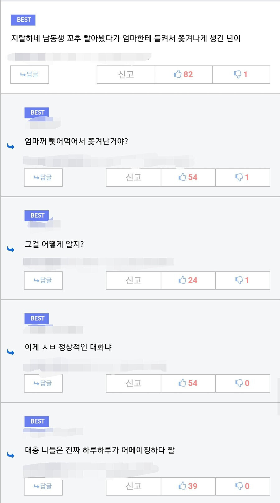 특정 사이트 댓글_1.jpg