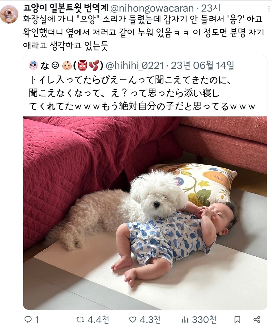 아기의 울음소리가들렸는데 갑자기 안들림.jpg_1.jpg