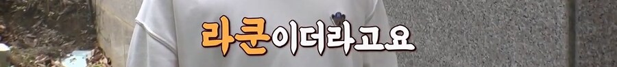내가 이 아파트에서 12년을 살았는데 라쿤을 처음봤다니까?_2.jpg