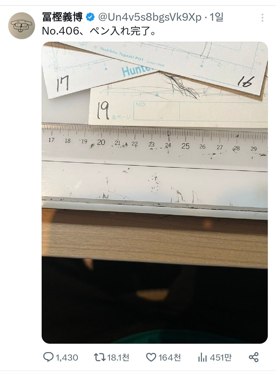 헌터X헌터) 헌터 작업 복귀해서 토가시 달리고 있는 근황_16.jpg
