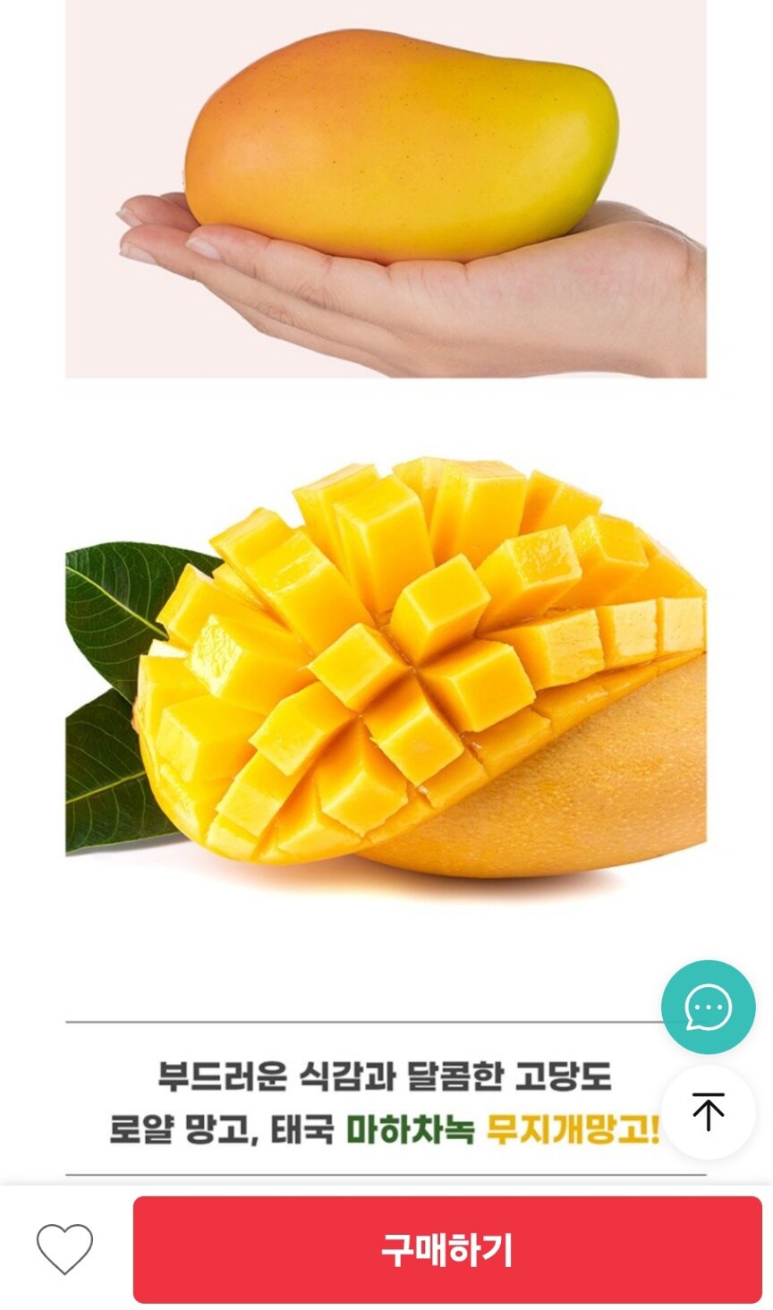 [위메프] 아이스박스 포장 태국 무지개망고 /개당 1,800원 무배!!_1.jpg