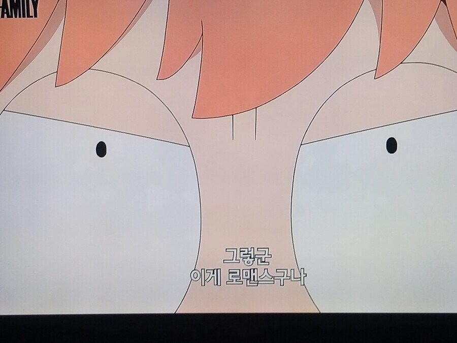 스파이패밀리)이런 걸 애들이 봐도 되나?_16.jpg