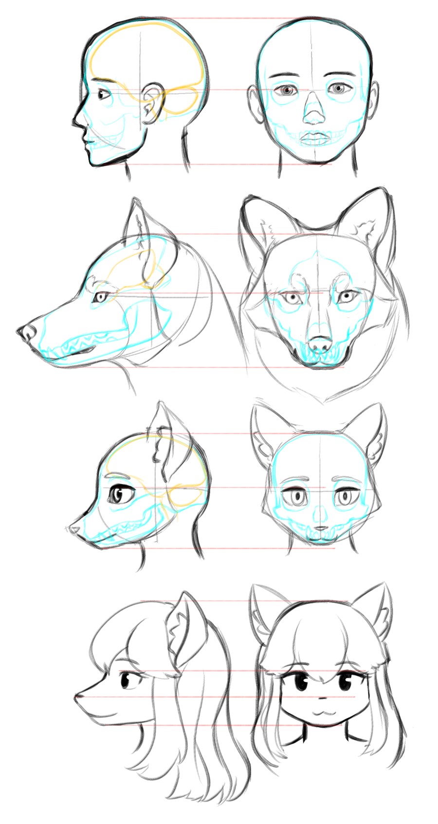 늑대 캐릭터 두상 연구.png_1.png