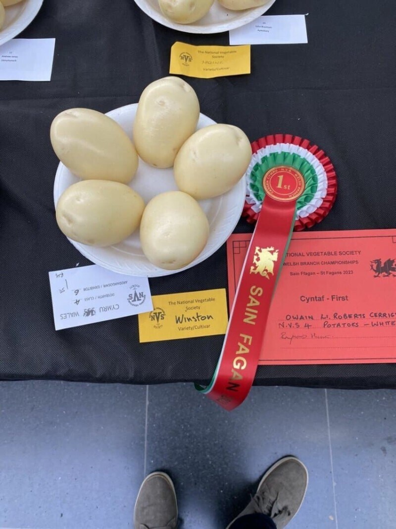 이쁜이 야채 선발대회.jpg_2.jpg