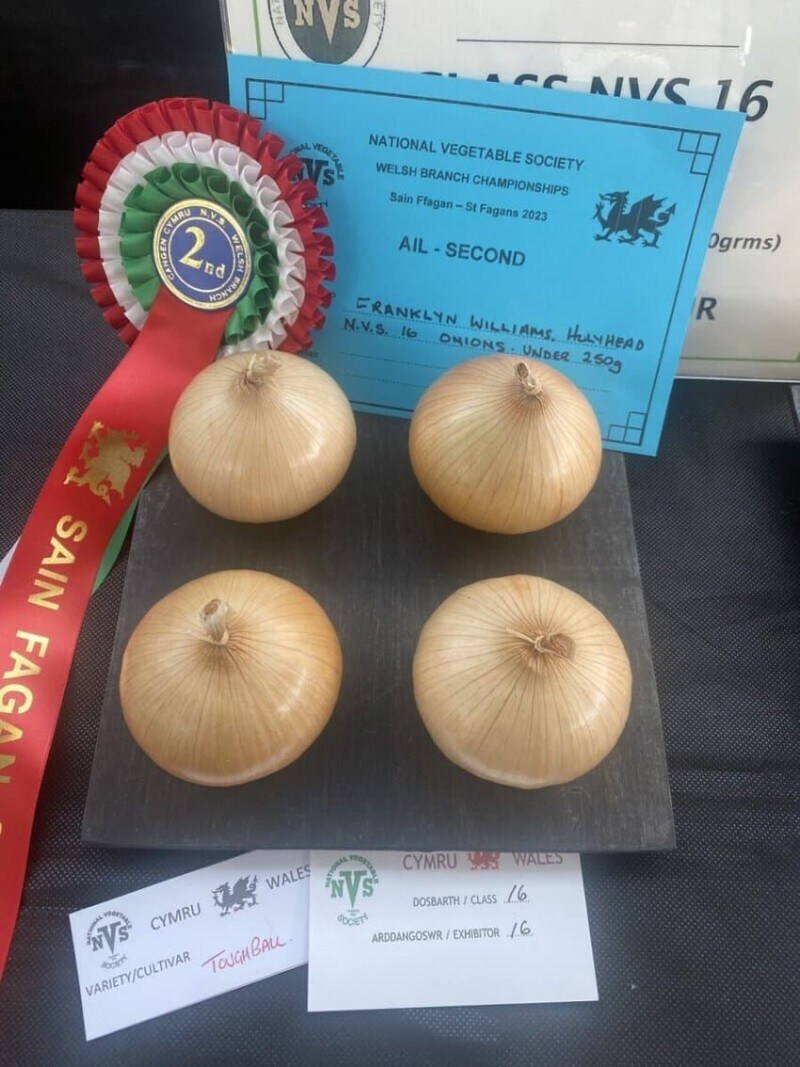 이쁜이 야채 선발대회.jpg_3.jpg