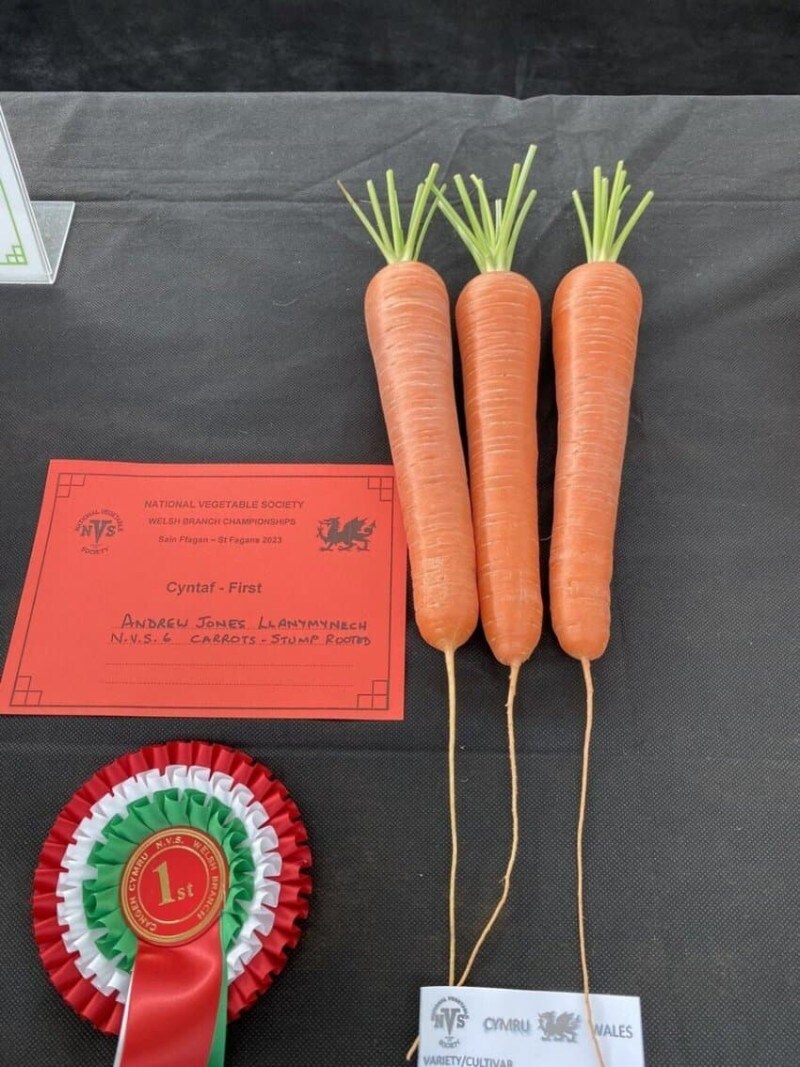 이쁜이 야채 선발대회.jpg_5.jpg