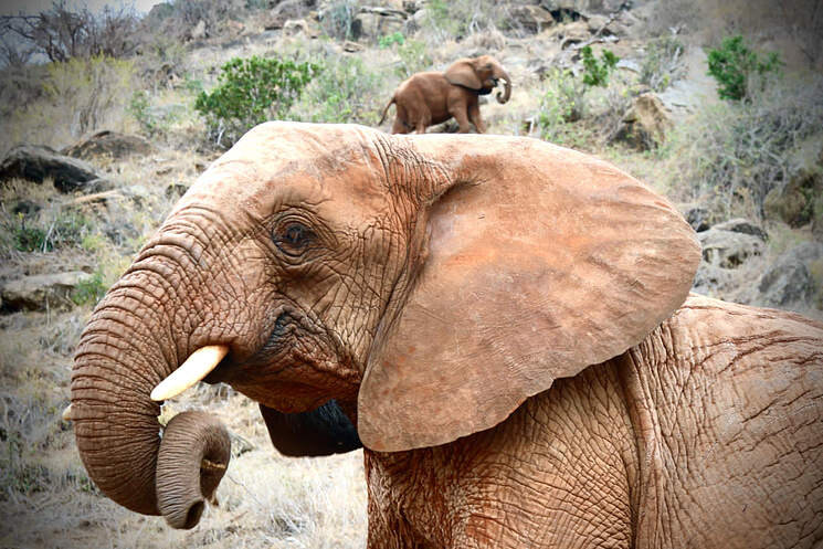 아프지마 도토 도토 잠보 근황_5.jpg