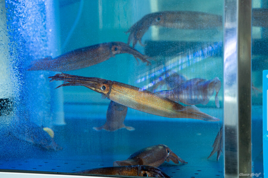 1박2일 선유도 다녀왔습니다_15.jpg