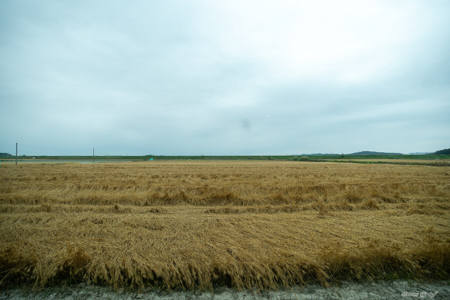 1박2일 선유도 다녀왔습니다_26.jpg