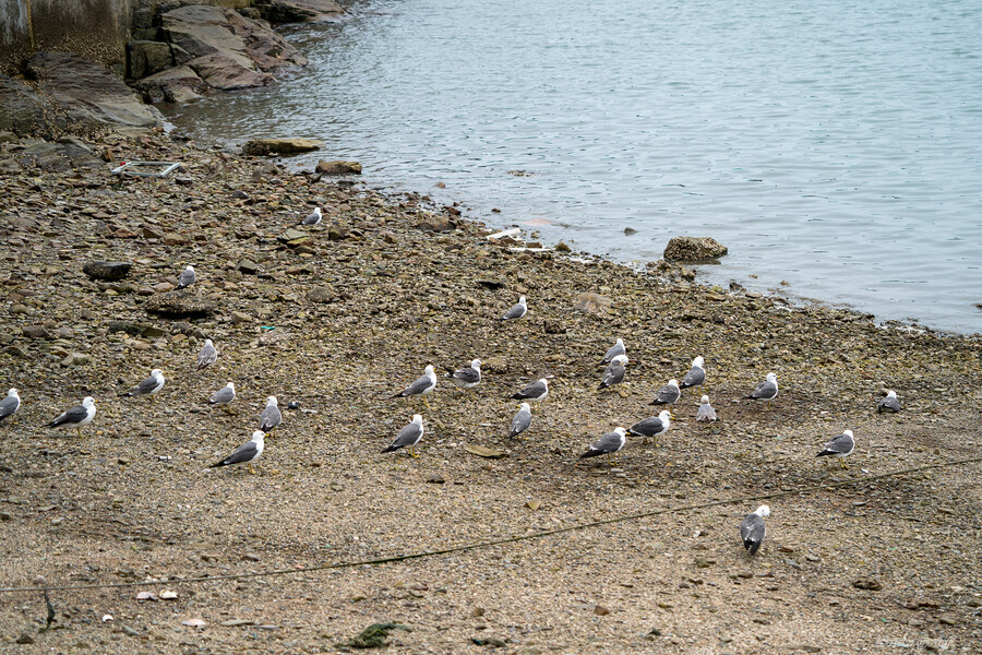 1박2일 선유도 다녀왔습니다_29.jpg