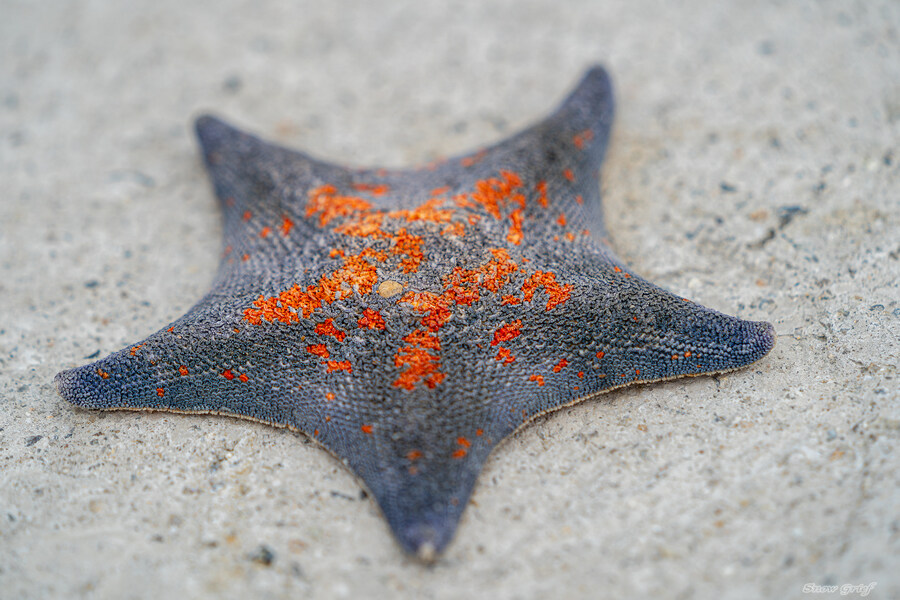 1박2일 선유도 다녀왔습니다_37.jpg