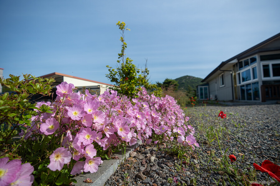1박2일 선유도 다녀왔습니다_92.jpg