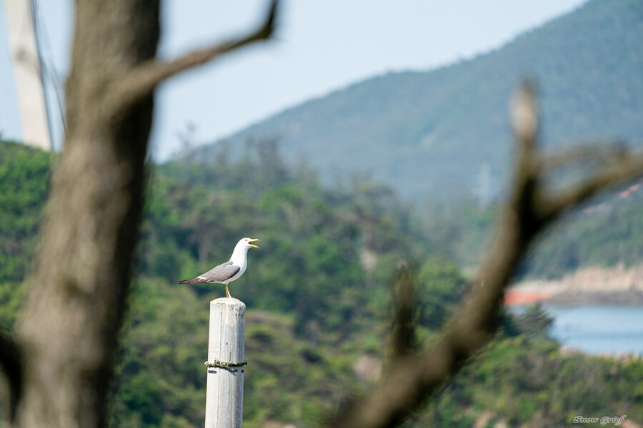1박2일 선유도 다녀왔습니다_109.jpg