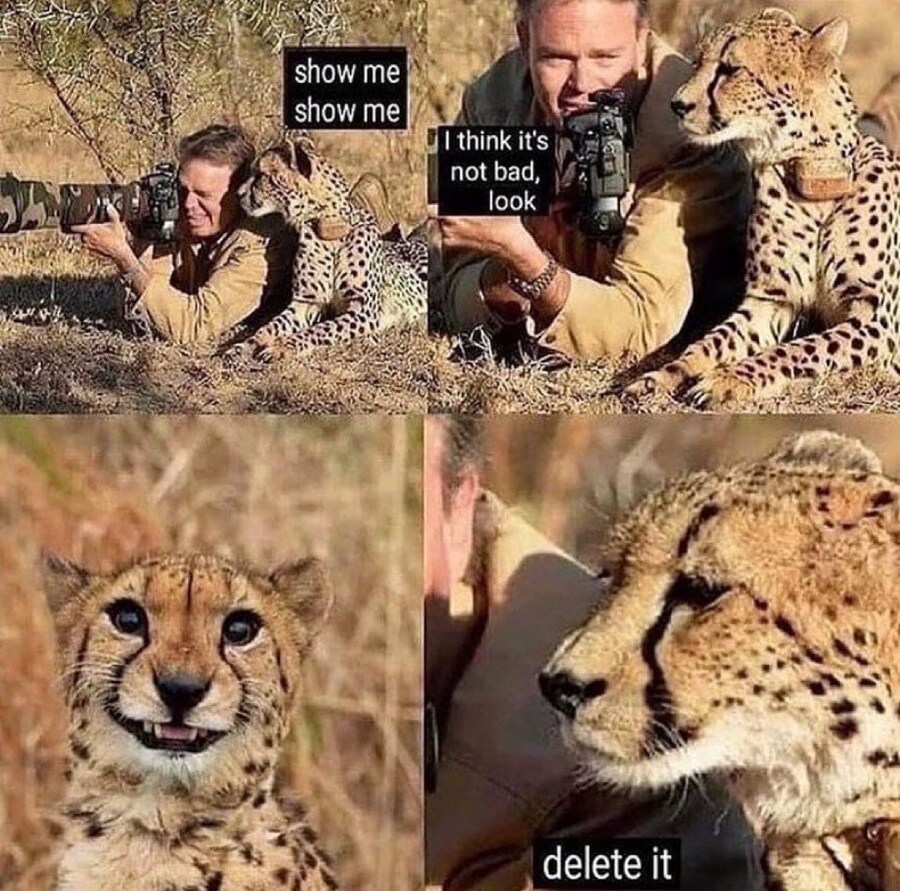 보자보자, 어떻게 찍었어.jpg_1.jpg