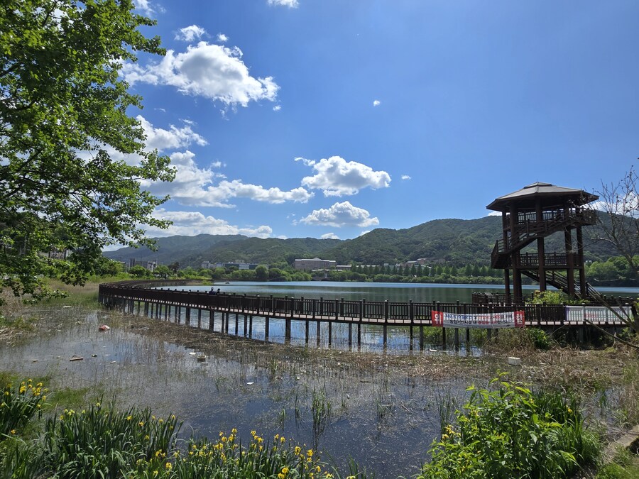 소설가 박경리 선생님 생가에서 신세를 지고 있습니다_62.jpg