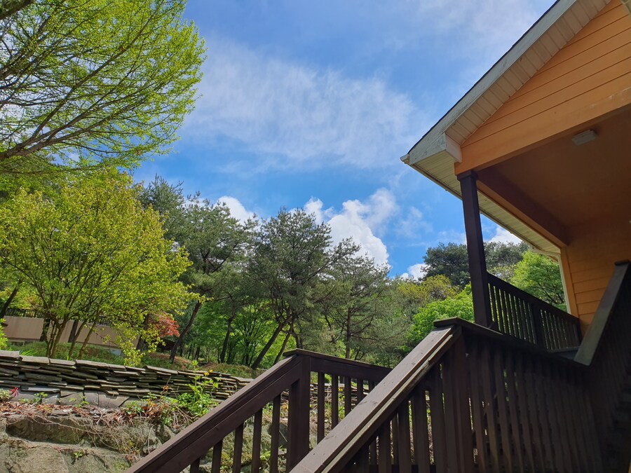 소설가 박경리 선생님 생가에서 신세를 지고 있습니다_69.jpg