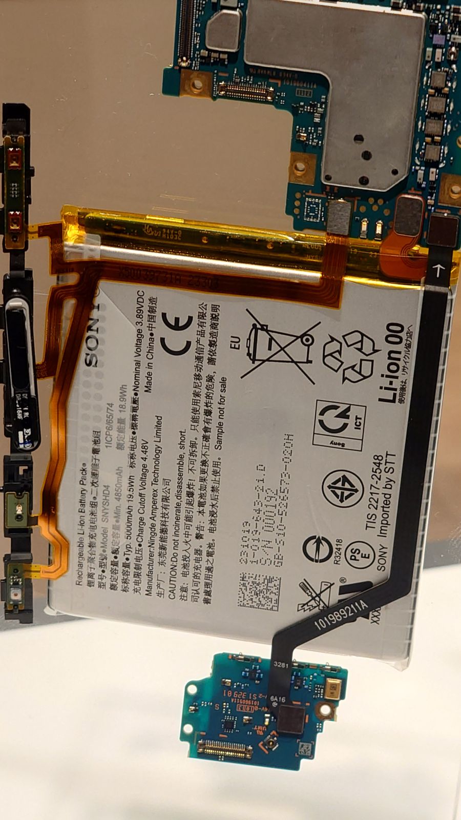 너도 멸종되지 않게 조심해 - 신형 엑스페리아 1 VI_12.jpg