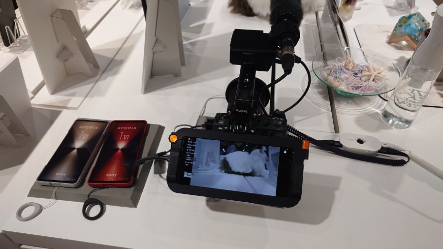 너도 멸종되지 않게 조심해 - 신형 엑스페리아 1 VI_29.jpg