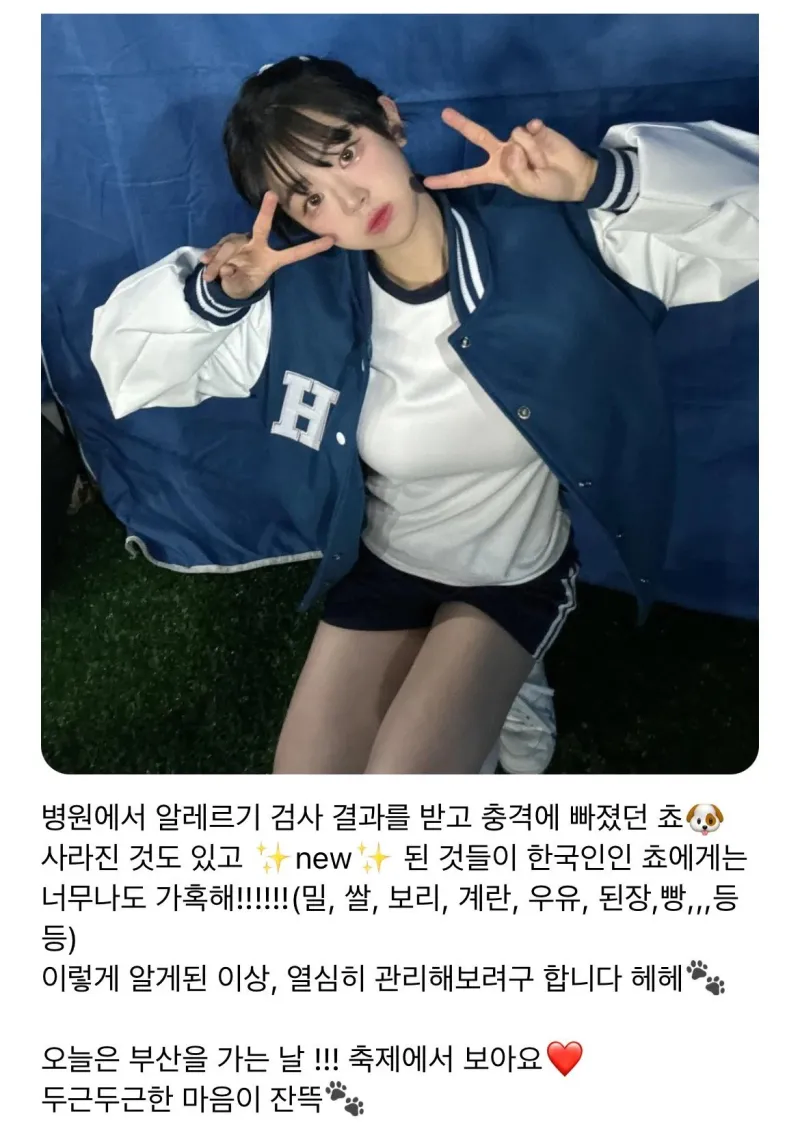 qwer 쵸단 알러지 목록_1.webp