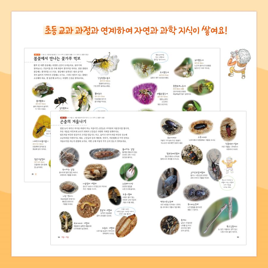외연라인댄스 이미지