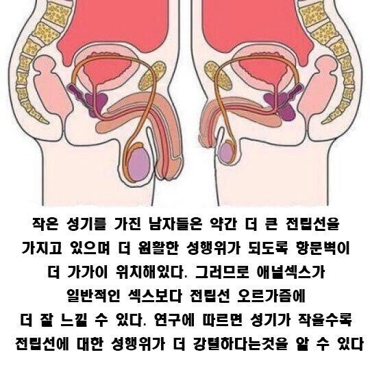 고추가 작으면 처녀를 만나야하는 이유_2.jpg