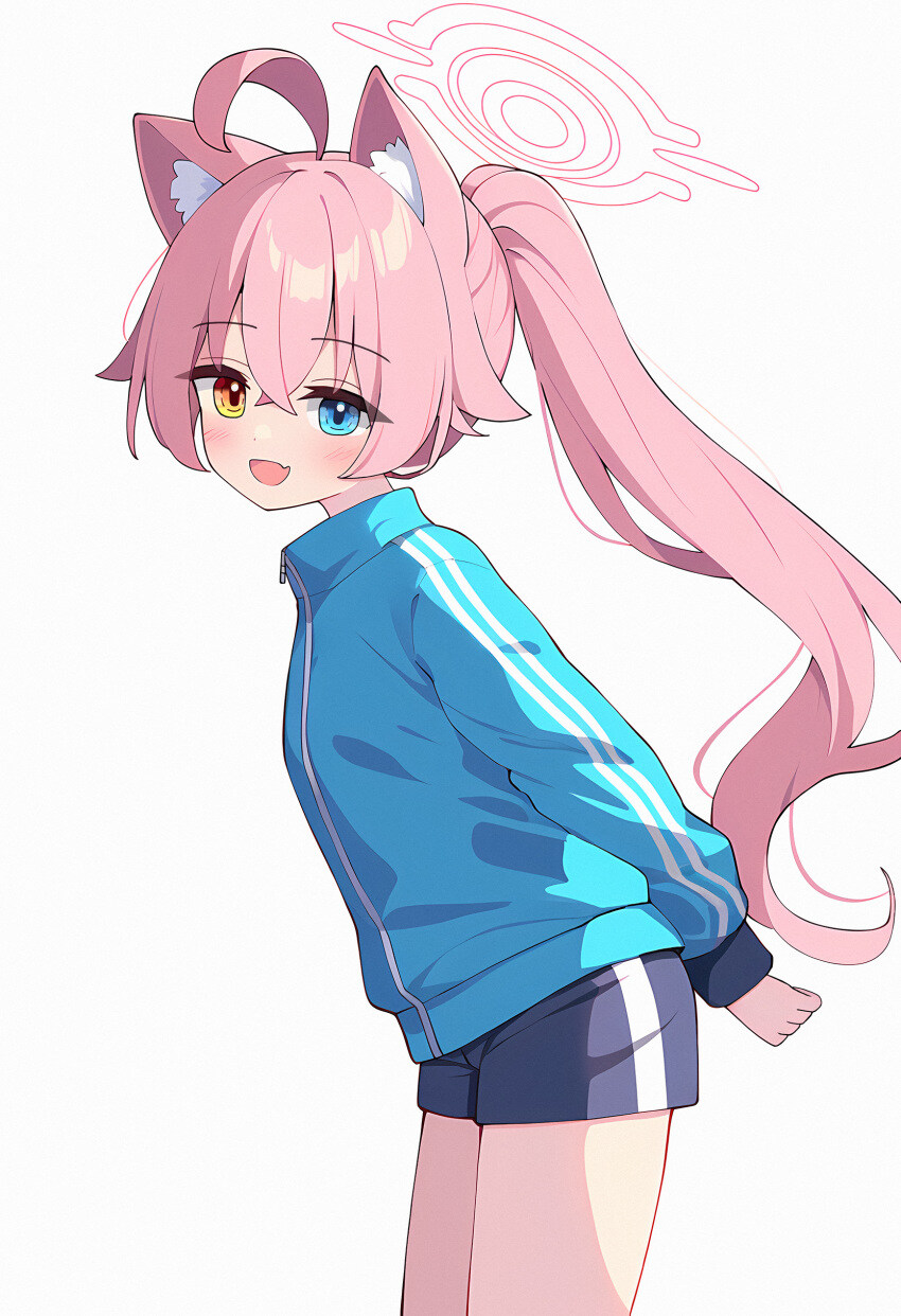 블루아카) 호시냥이.jpg_1.jpg