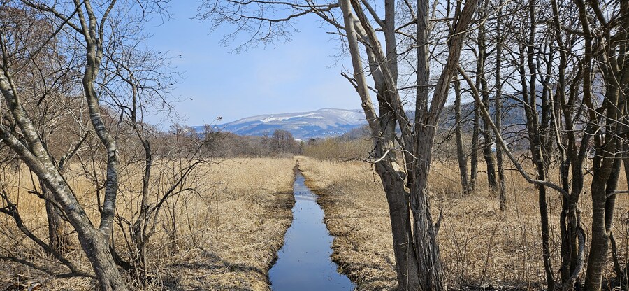 은근 가기도 힘든 그곳, 하코다테 여행기 Vol.7 (오누마공원 편)_5.jpg