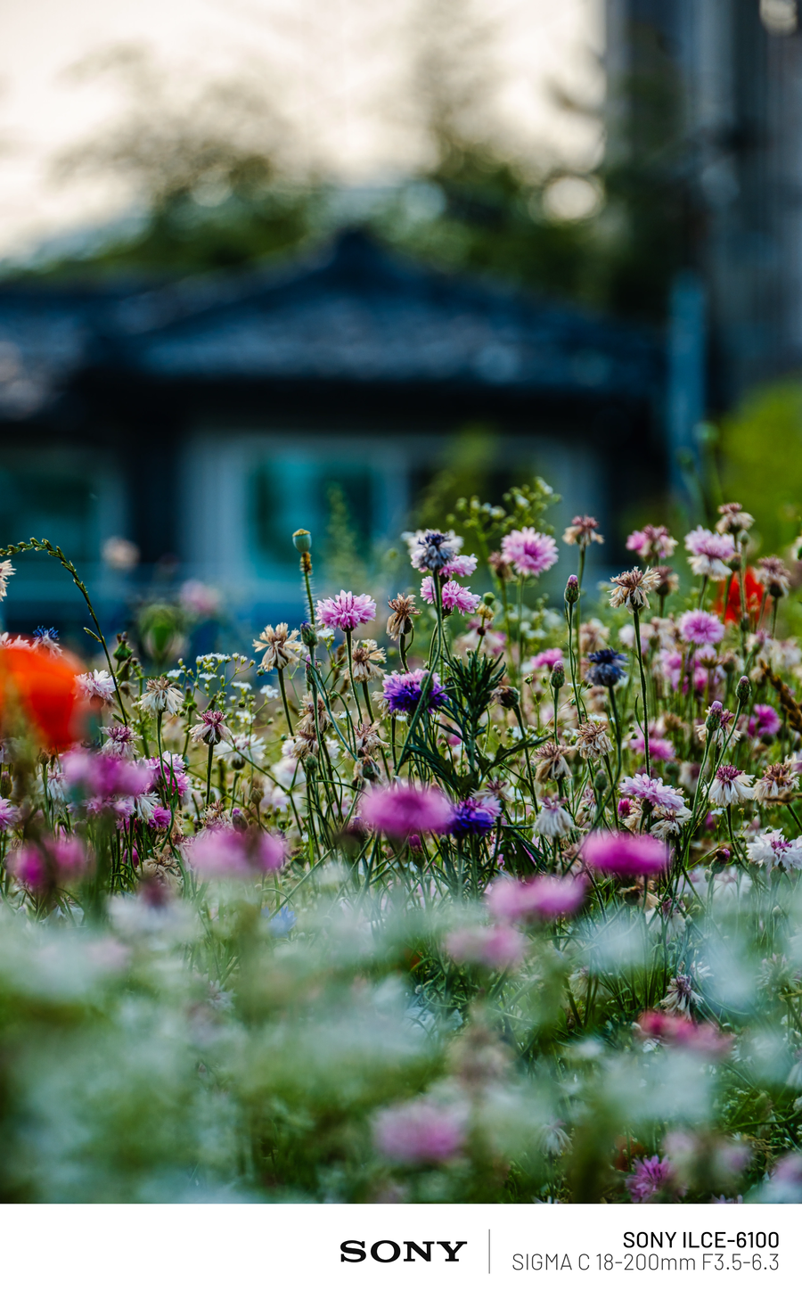 사진)현충일 열린송현 녹지광장_3.webp