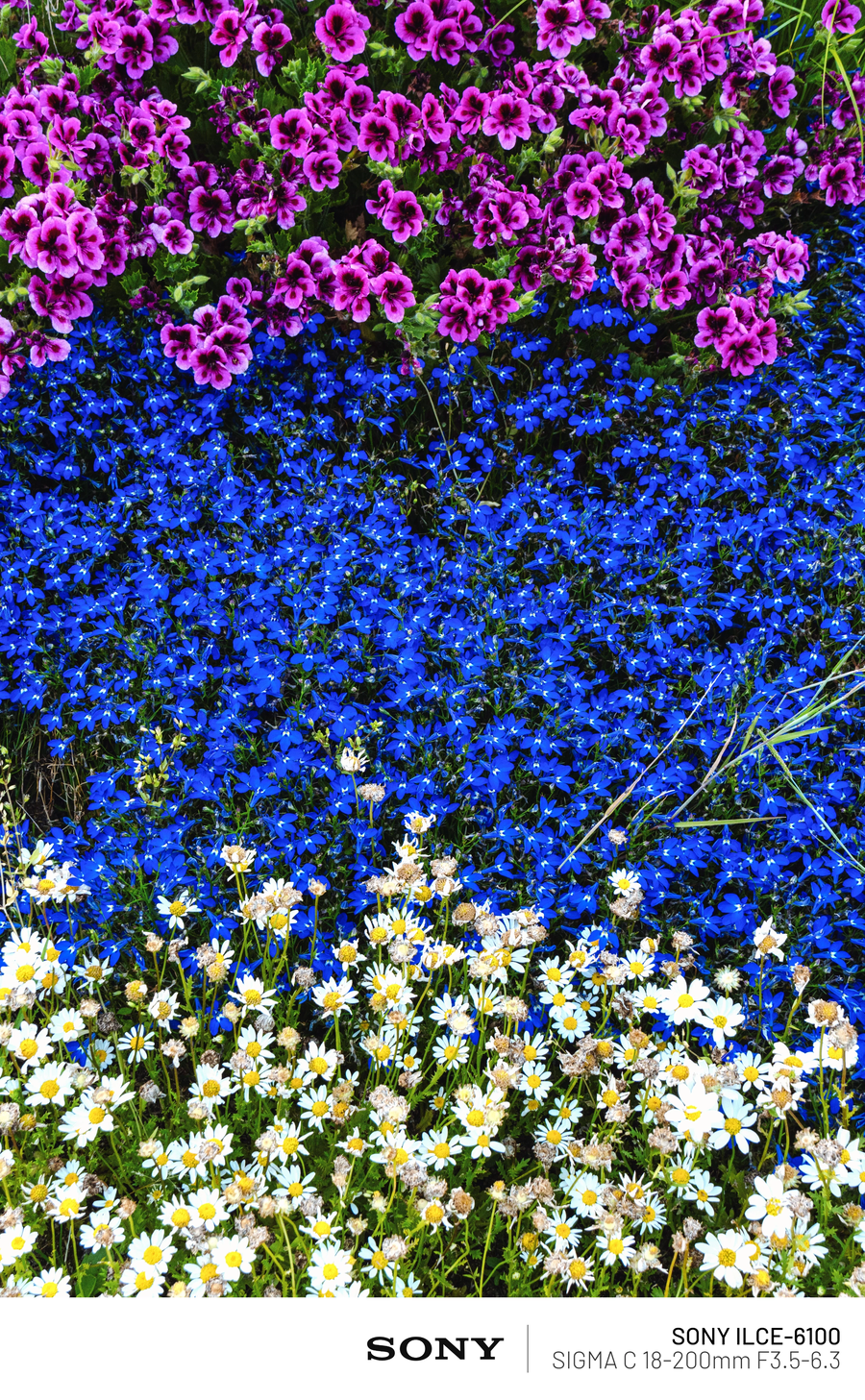 사진)현충일 열린송현 녹지광장_5.webp