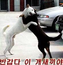 포켓로그)막 시작했는데 질문_1.jpg