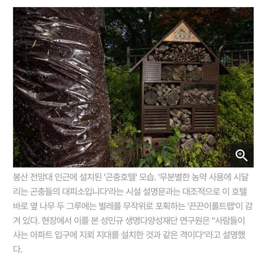 서울 최초 '편백 치유의 숲' 근황_4.jpg