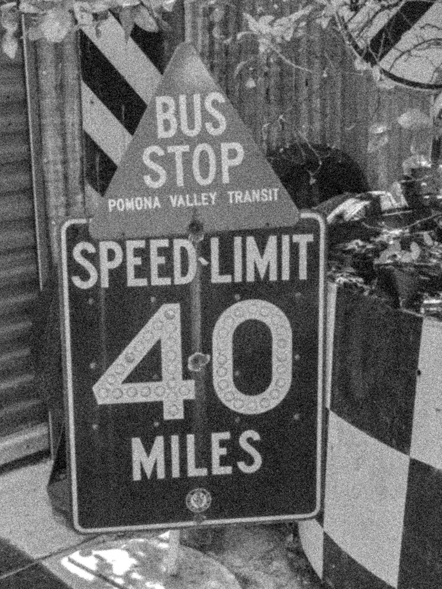 사진) 캐논 EOS R50으로 이것저것 찍어봄_2.jpg