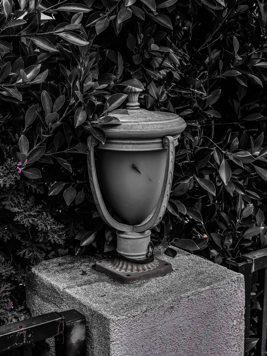 사진) 캐논 EOS R50으로 이것저것 찍어봄_5.jpg