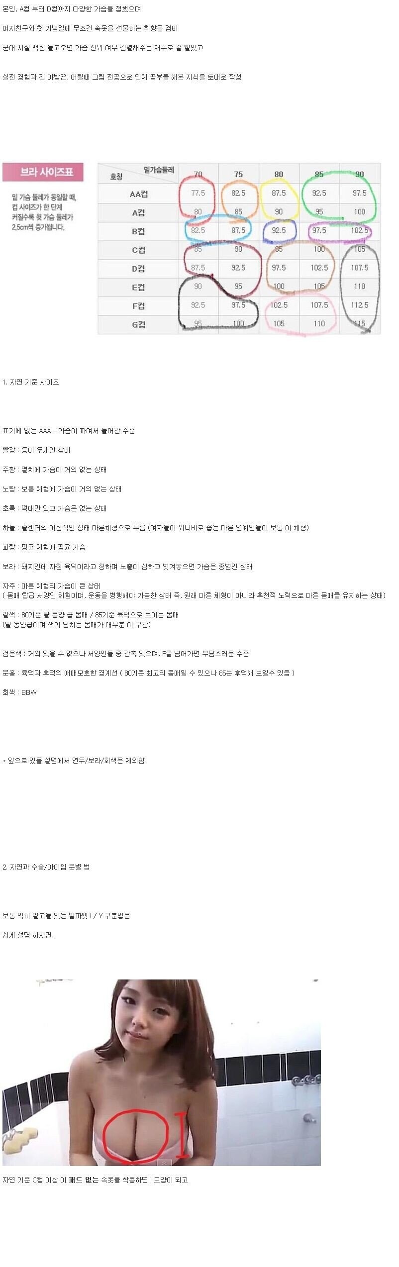 여자 가슴 사이즈 구별법 강좌_1.jpg