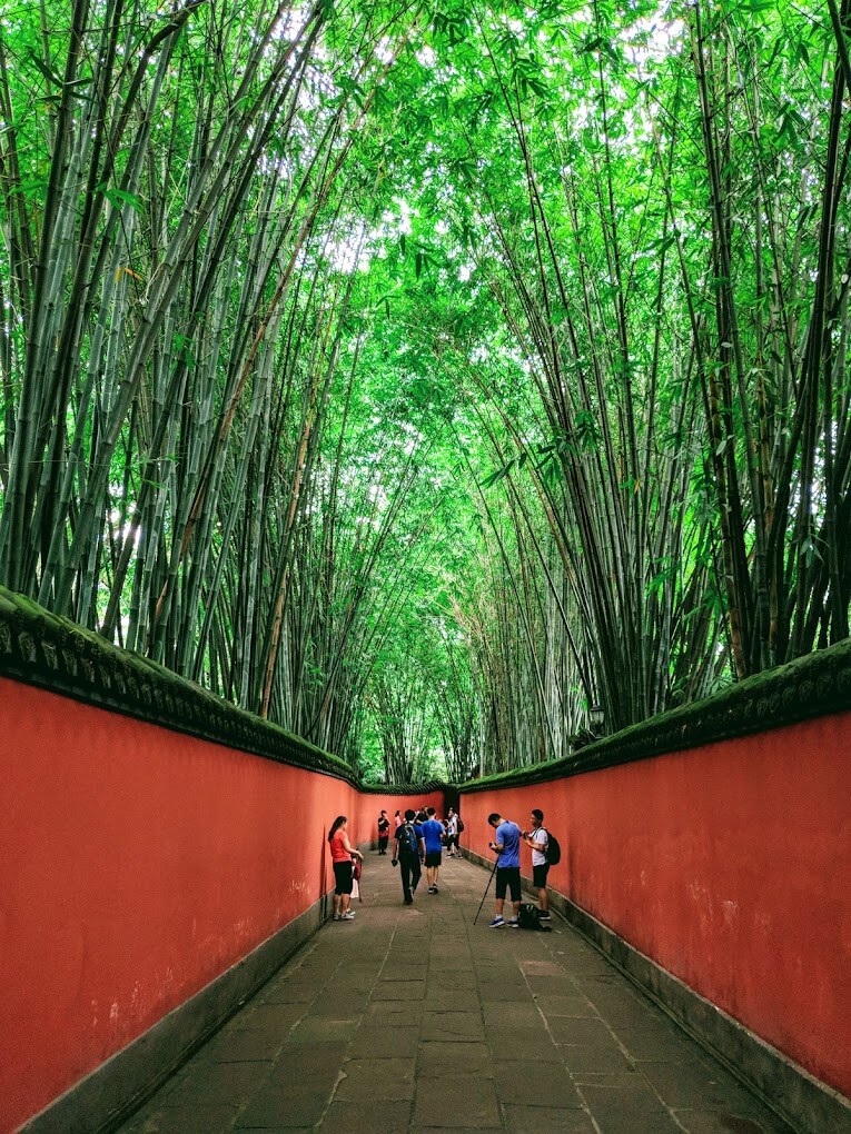 [요모] 중국 청두, 구채구 프라이빗 투어! 115만원~_1.jpg