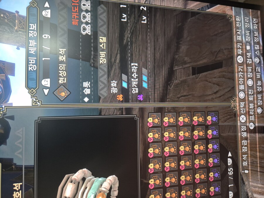 광화호석 선택_1.jpg