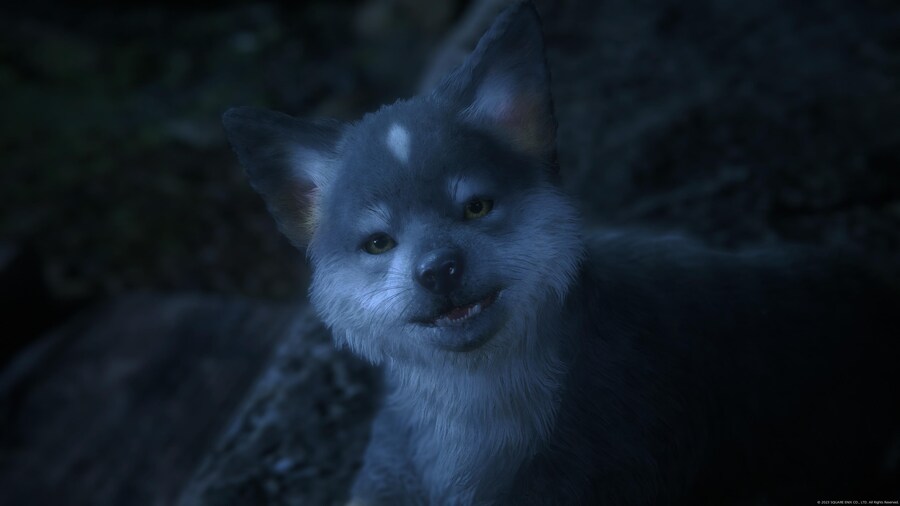 본편 플래 획득 및 2 DLC 트로피 100% 달성 후기_12.jpg