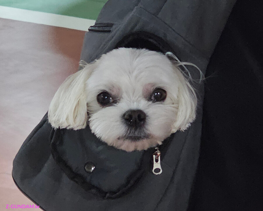 주말 새벽 로코갤러리 (사진 많음)_16.jpg