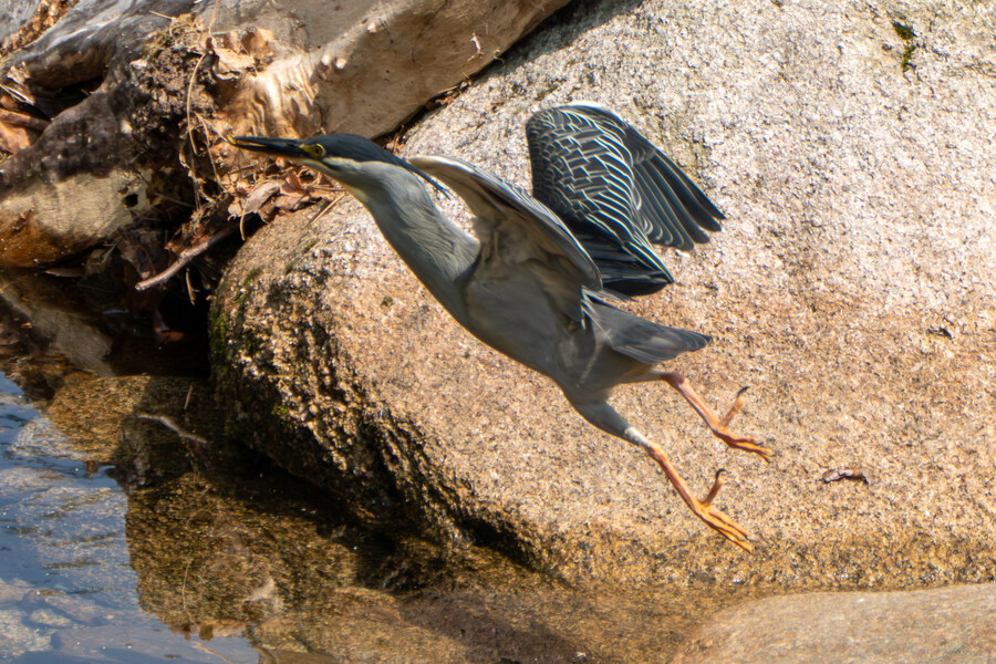 현충일, 창릉천과 공릉천 상류로 가봤다._7.jpg
