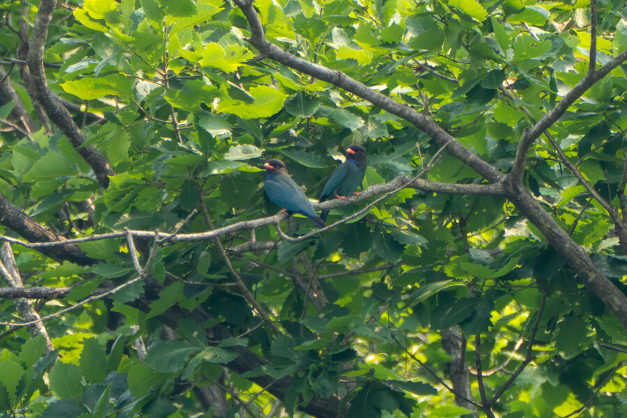 현충일, 창릉천과 공릉천 상류로 가봤다._29.jpg